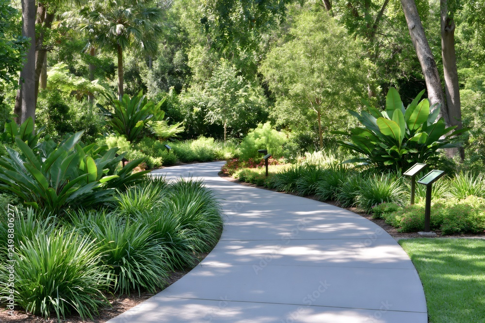 Obraz premium Winding concrete path through lush botanical garden