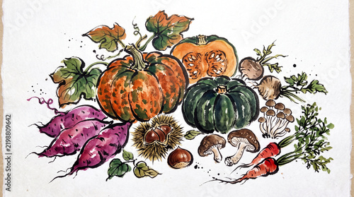 Watercolor and ink sketch illustration of various autumn harvest vegetables and crops on white background