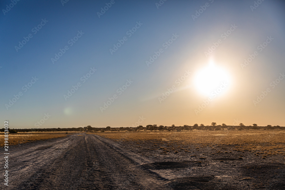 Obraz premium Sunset savanna scenery along the road in Deception, Central Kalahari Game Reserve, Botswana
