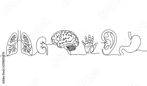 Obraz na plátně Human internal organs set depicted in continuous line art style with medical ill