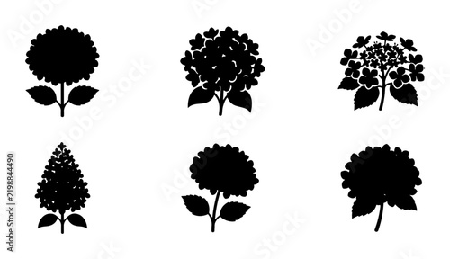 Hydrangea Flower Silhouettes, Botanical Vector Icons Set, Floral Graphic Elements