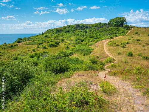 Coastal landscape with winding footpath in Summer, Aarhus Bay, Kattegat, Denmark
