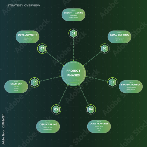 Modern project phases strategy overview infographic design Vector