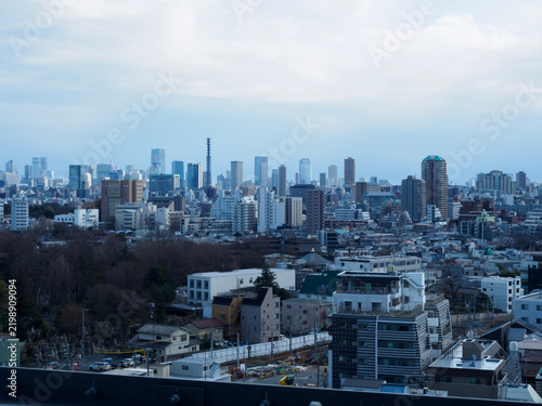 東京のビル群を望む静かな都市の表情