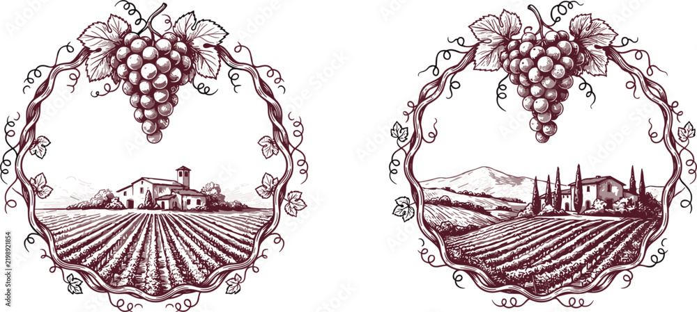 Obraz premium Vintage hand drawn vineyard landscape frame with grapes bunch for luxury wine bottle label and winery packaging design element
