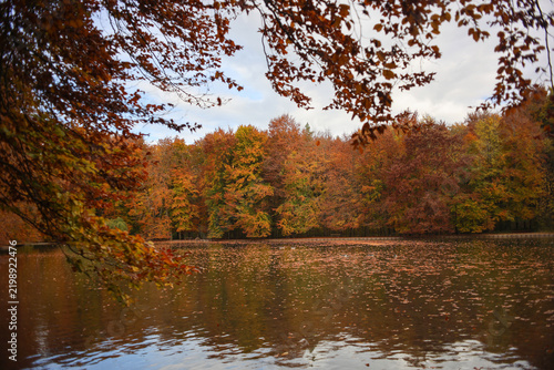 Beautiful autum walk on the banks of Stempflesee in Augsburg, Swabia, Bavaria, with colourful and golden fall leaves.