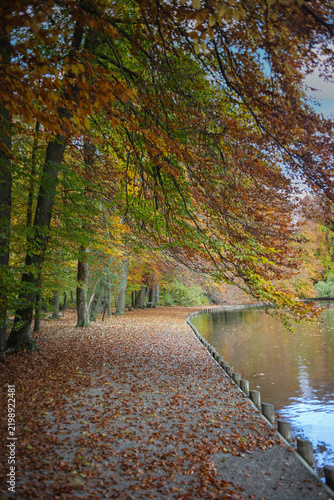 Beautiful autum walk on the banks of Stempflesee in Augsburg, Swabia, Bavaria, with colourful and golden fall leaves.