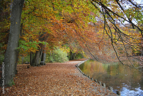 Beautiful autum walk on the banks of Stempflesee in Augsburg, Swabia, Bavaria, with colourful and golden fall leaves.
