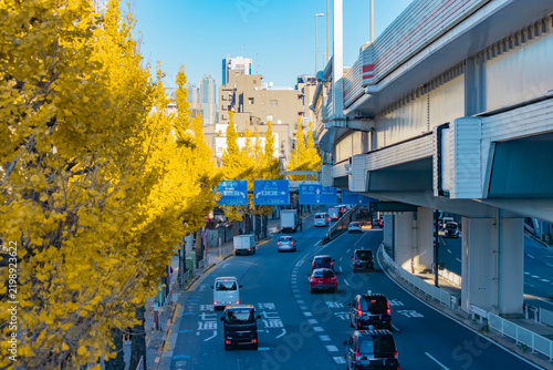A cityscape of traffic jam near the yellow gingko street under the overpass in Tokyo