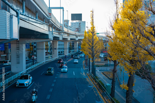 A cityscape of traffic jam near the yellow gingko street under the overpass in Tokyo