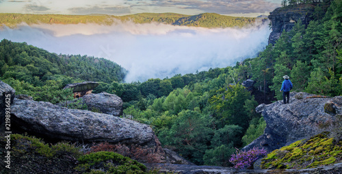 Panorama-Lonely Man on the Rock Lookout. Elbe Sandstones - Czech Republic. Sandstone rocks in a green forest with an inverse fog.