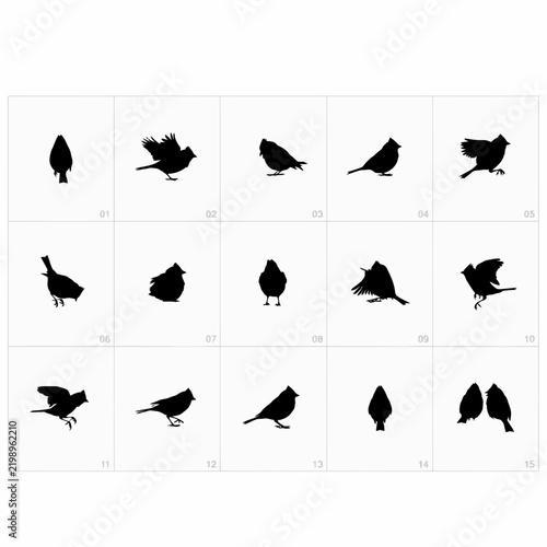 set of black silhouettes of birds
