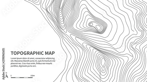 topographic map contour lines vector background featuring abstract geographical elevation lines for design concept
