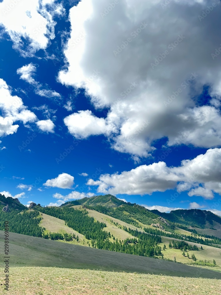 Obraz premium landscape with clouds