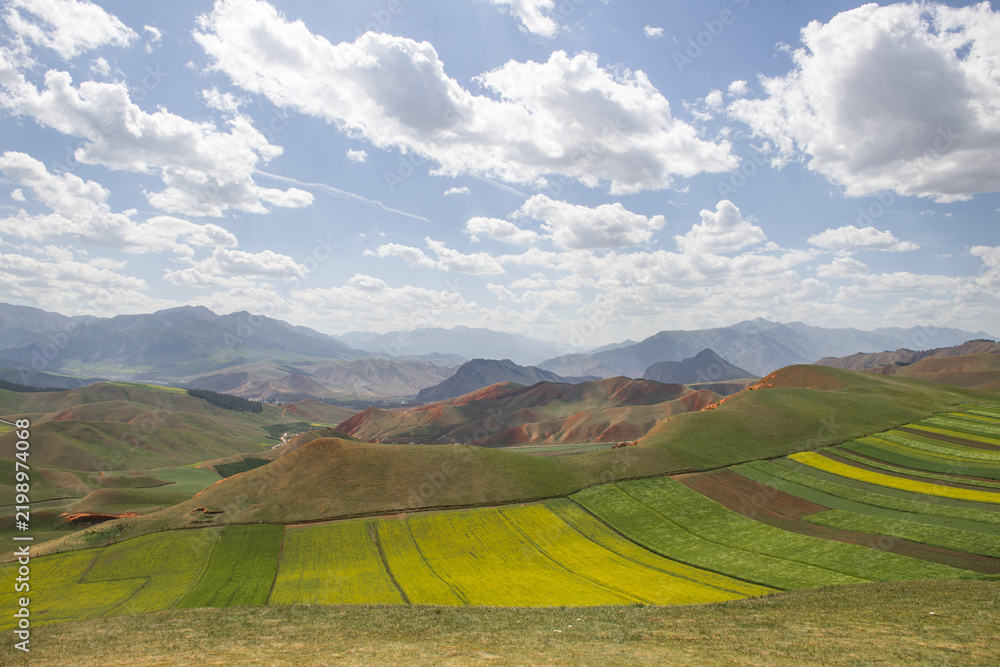 Obraz premium Colorful Danxia Hills and Rapeseed Fields at Zhuo'er Mountain, Qilian, Qinghai