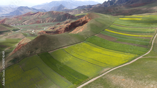 Aerial View of Striped Fields and Danxia Hills in Qilian County, Qinghai