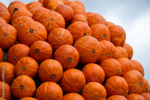 Cuadro en lienzo Großer Stapel leuchtend orangefarbener Kürbisse vor hellem Himmel