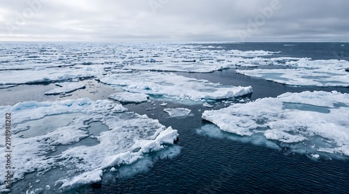 Melting sea ice floes floating in the arctic ocean under cloudy sky