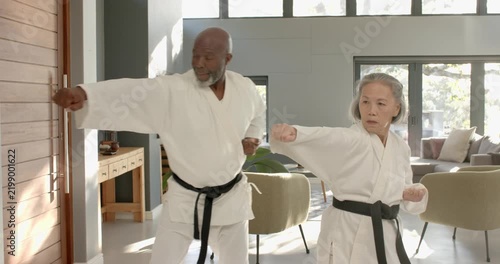 Lifestyle videos indoor of people doing activities at home, practicing martial arts, senior couple i
