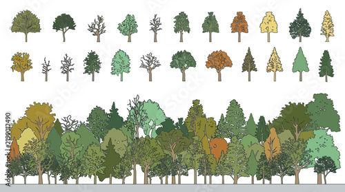 vector tree elevation set and forest border graphic for architectural rendering and site plan design