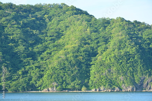Beach cove covered with trees and mountains