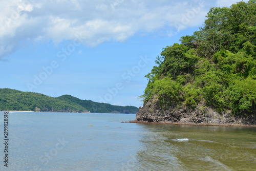 Beach cove covered with trees and mountains