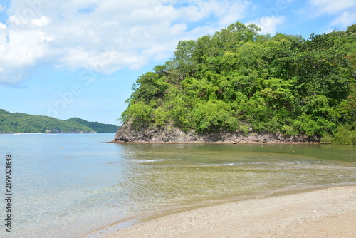 Beach cove covered with trees and mountains