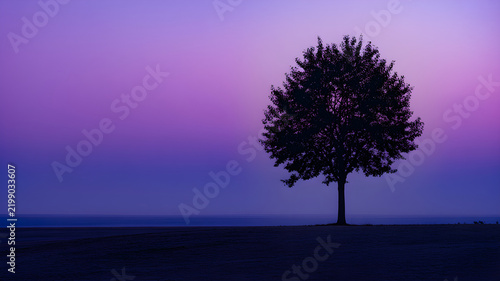 Minimalist landscape silhouette of a lone tree against a vibrant purple and blue twilight sky