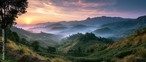 Misty Valley Sunrise Over Rolling Hills Landscape