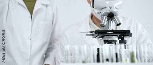 Foto Scientists researching plant samples in a laboratory, examining biological speci