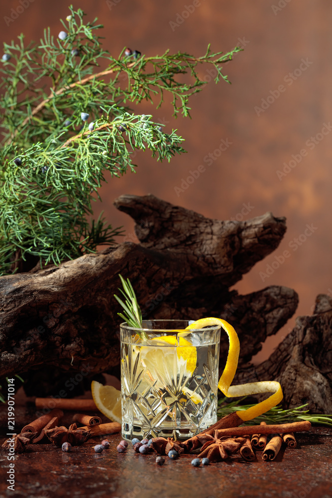 Obraz premium Cocktail gin-tonic with lemon, cinnamon, anise, and juniper berries.