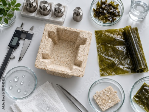 Eco friendly molded fiber packaging and seaweed biopolymer materials