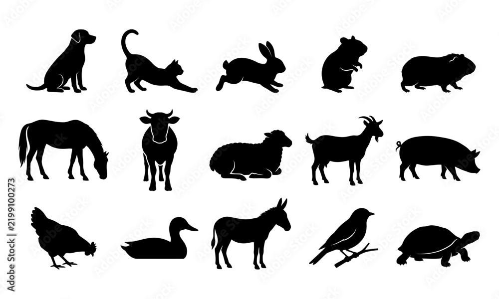 Fototapeta premium Collection of various domestic farm and pet animal silhouettes on white
