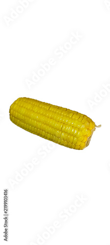 Fotografie Single Ready to Eat Boiled Sweet Corn Isolated on Transparent Background PNG
