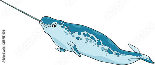 cartoon narwhal sea mammal animal character