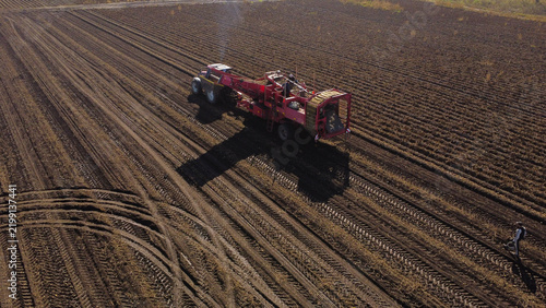 Aerial View of Tractor and Harvester Harvesting Potato in Agricultural Field