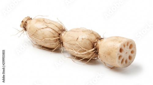 Fresh lotus root with delicate natural rootlets and distinctive circular internal structure, photographed from a low angle to emphasize its unusual organic form. Isolated on White background.