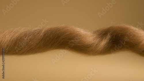 Brown wool roving fleece close up against a warm neutral background Fiber