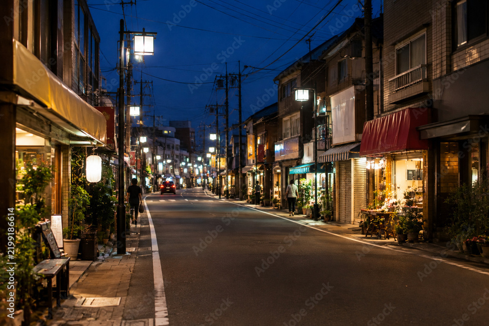 Fototapeta premium Quiet Summer Night on a Traditional Japanese Shopping Street