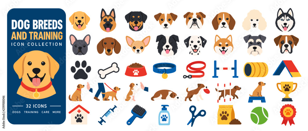 Fototapeta premium Dog breeds and training icon collection, 32 flat color icons: labrador, german shepherd, rottweiler, jack russell, bulldog, beagle, poodle, husky, french bulldog, dachshund, chihuahua, border