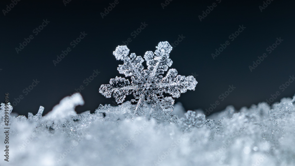 Obraz premium snapshot of a small snowflake taken during a snowfall