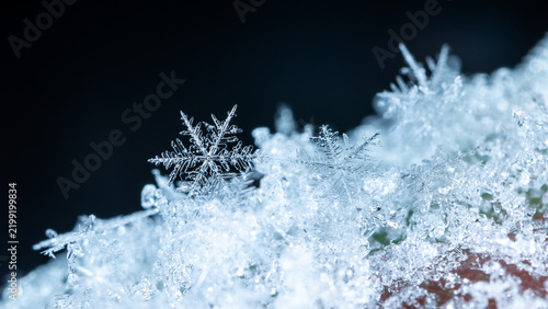 snapshot of a small snowflake taken during a snowfall