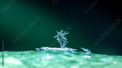 snapshot of a small snowflake taken during a snowfall