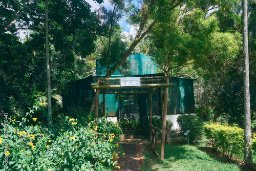 Orchid and Ferney House in Sir Seewoosagur Ramgoolam Botanical Garden in Pamplemousses, Mauritius. The historic building is surrounded by lush tropical vegetation and colorful botanical collections, c