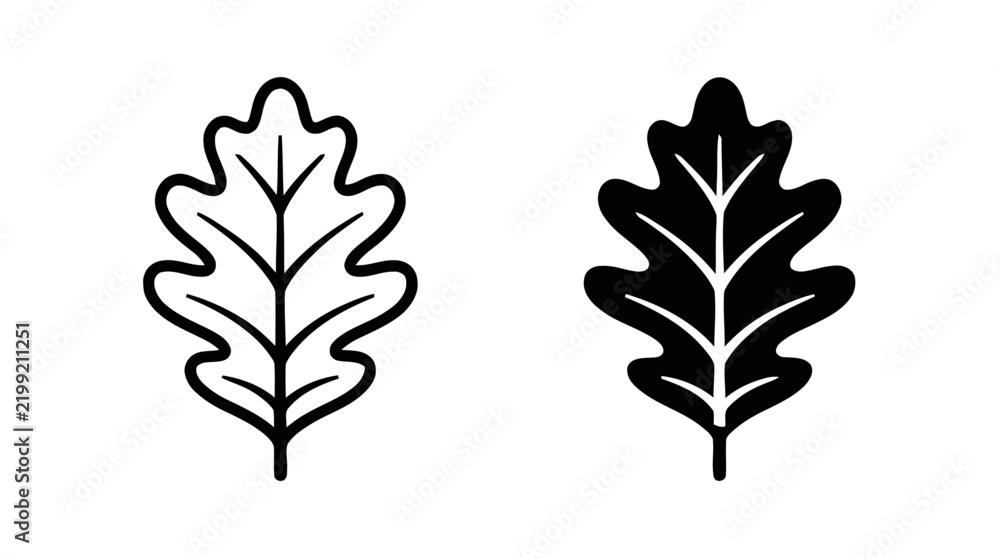 Fototapeta premium Vector illustration of oak leaf icons set on a transparent background