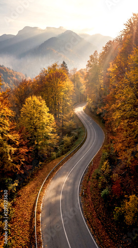 AI Image of a winding mountain road passing through a autumn forest