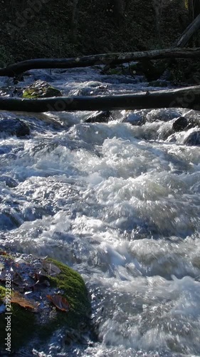 Vertical pan right of sparkling river water cascading over rocks