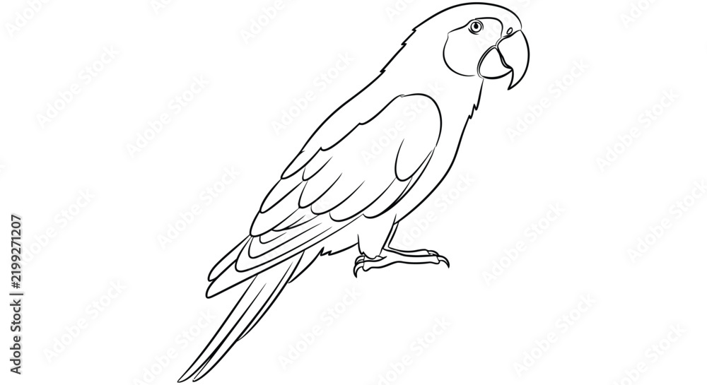 Fototapeta premium Line art illustration depicts a parrot with detailed feather texture on a white background