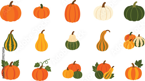 Set of various decorative pumpkins and gourds isolated on white background for thanksgiving day harvest celebration