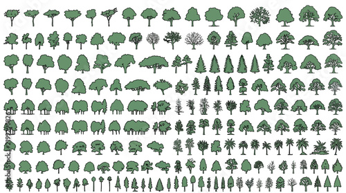 architectural tree elevation symbols set for landscape design and exterior section view rendering